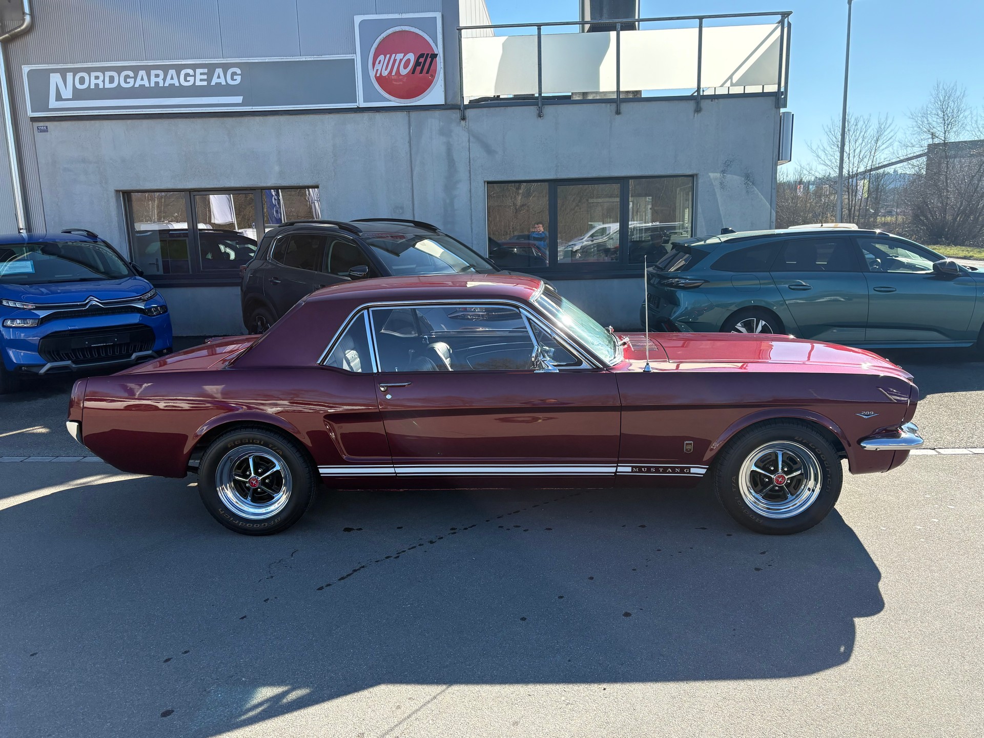 FORD Mustang GT Coupe-image-2