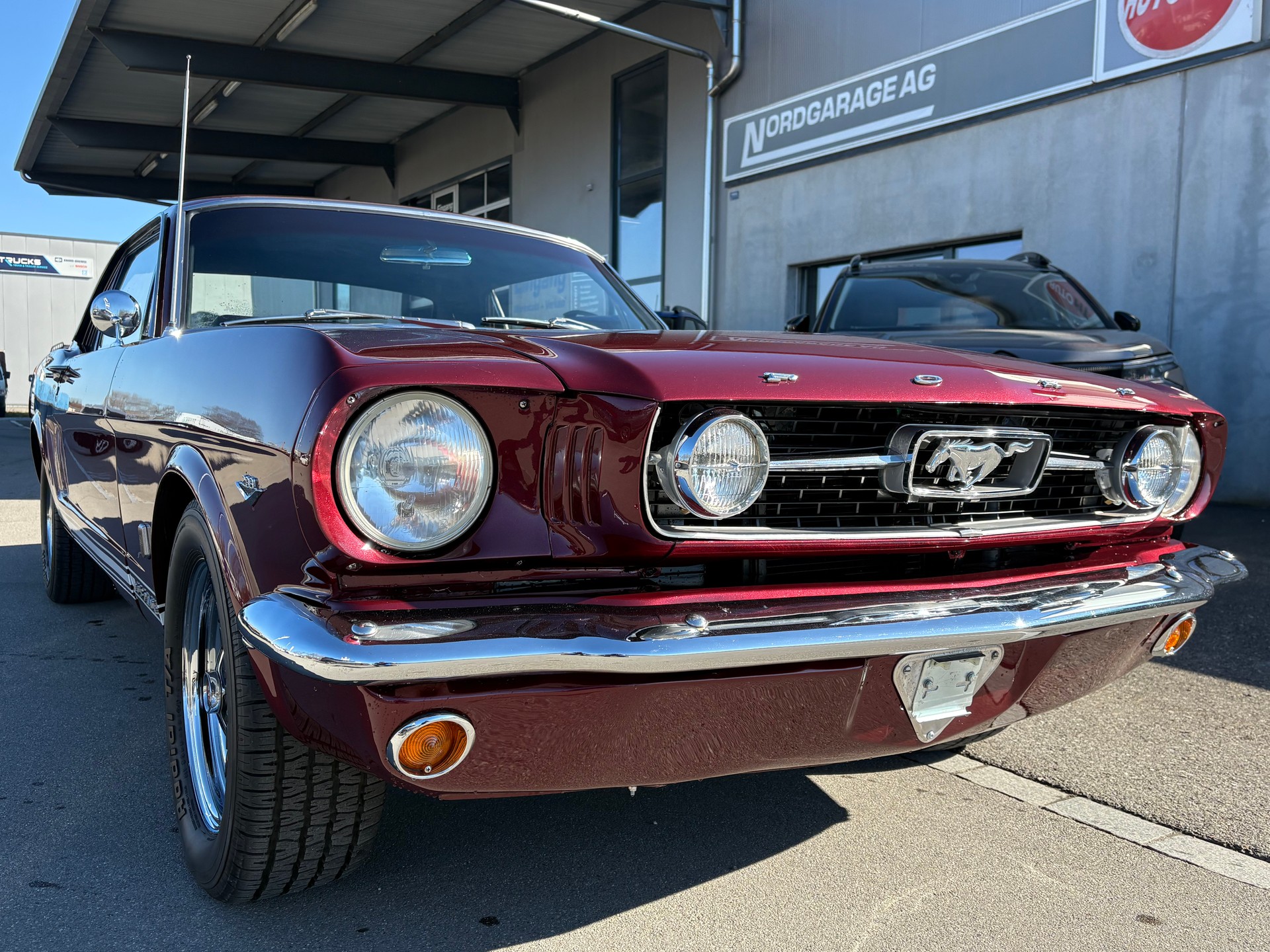 FORD Mustang GT Coupe-image-1