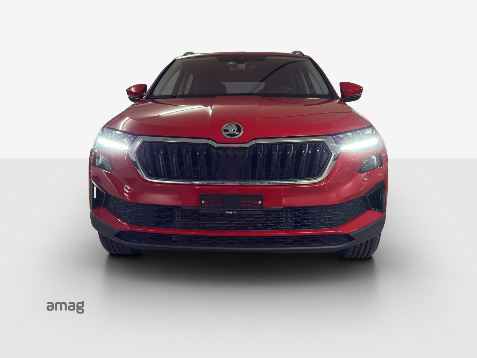 SKODA Karoq 1.5 TSI Selection DSG-image-6