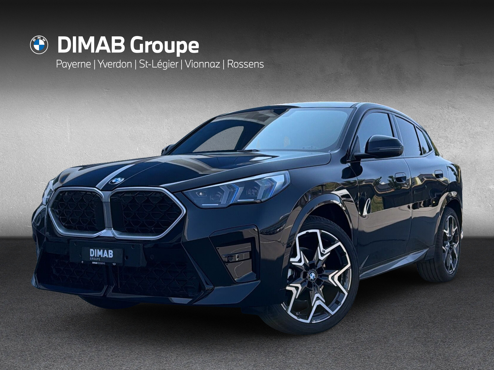 BMW X2 xDrive 20d 48V M Sport
