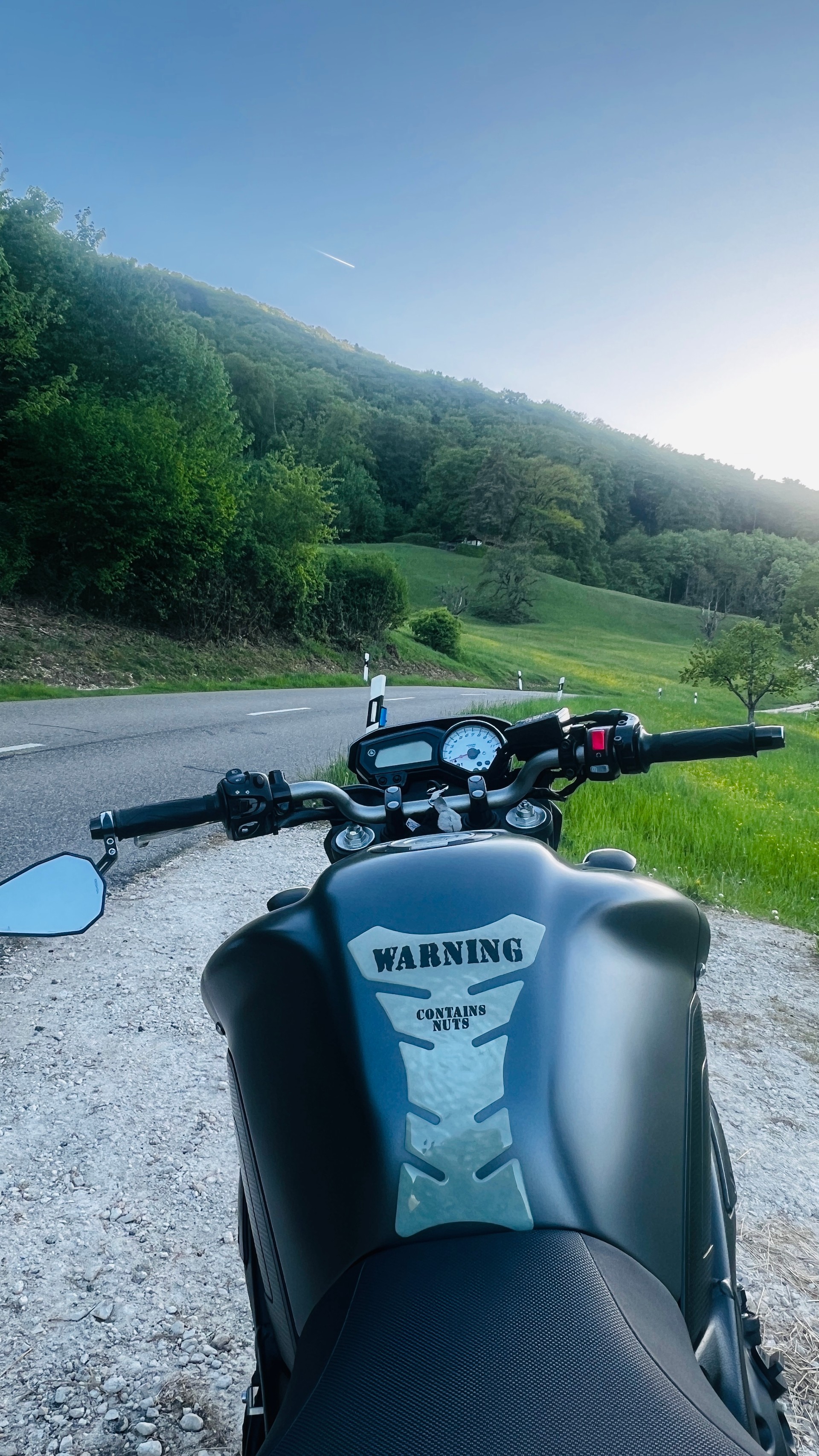 YAMAHA FZ8 N ABS Race Blu, 35 KW Drossel möglich-image-4