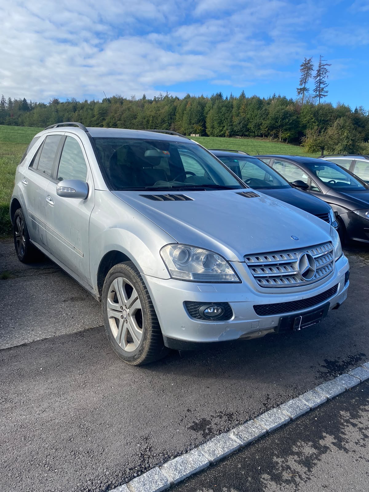 MERCEDES-BENZ ML 320 CDI 4Matic 7G-Tronic-image-1