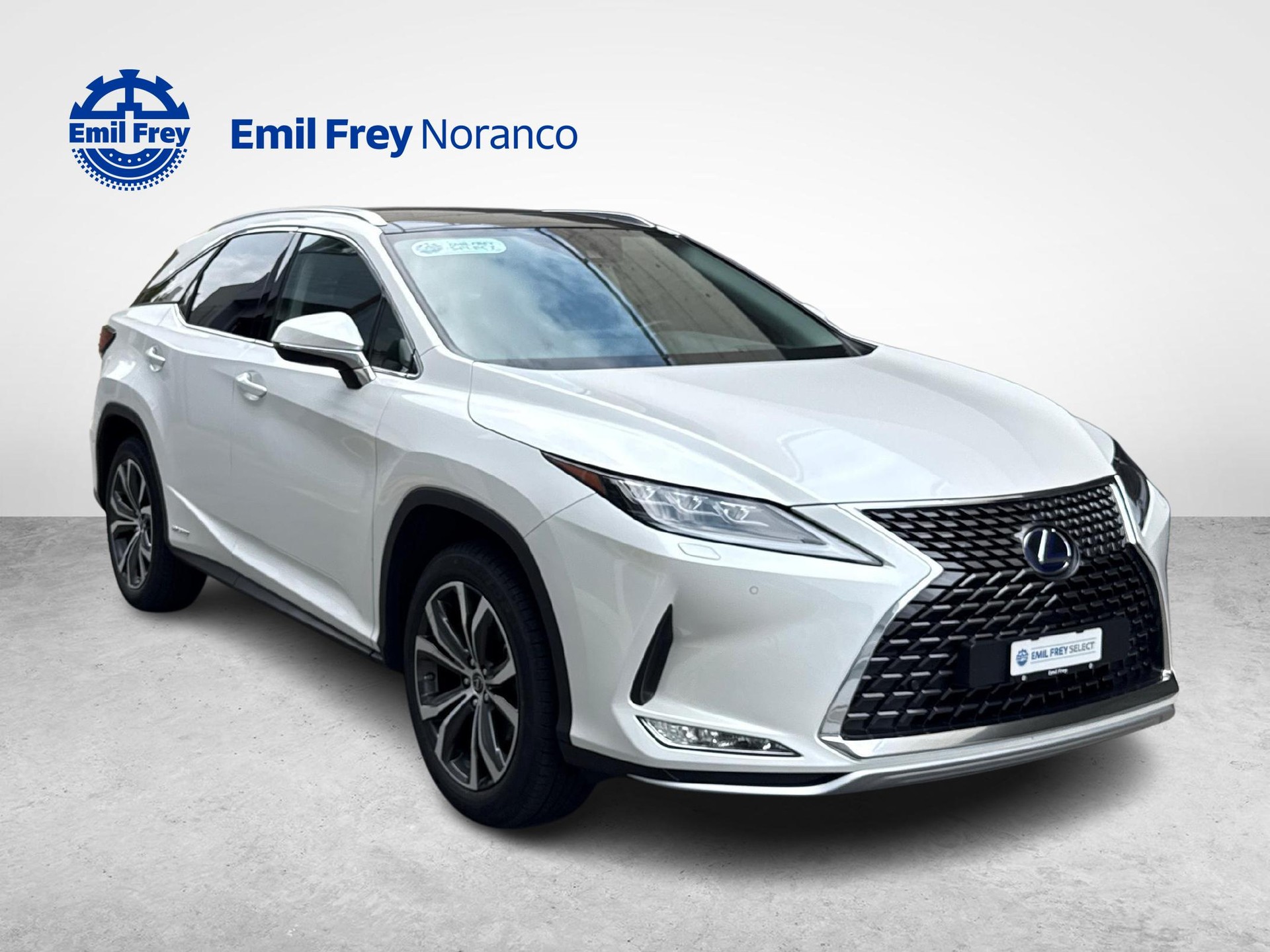 LEXUS RX 450h X + Ruote invernali incluse-image-6