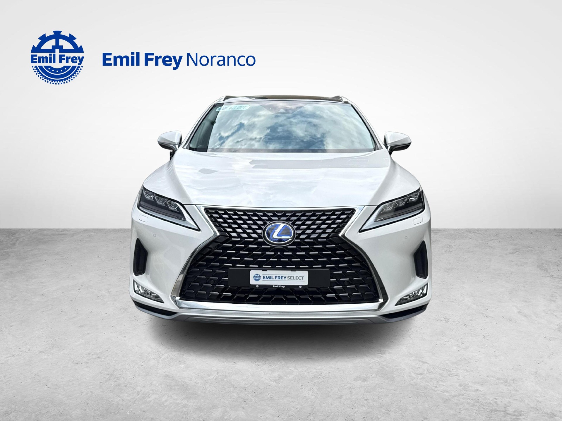 LEXUS RX 450h X + Ruote invernali incluse-image-7