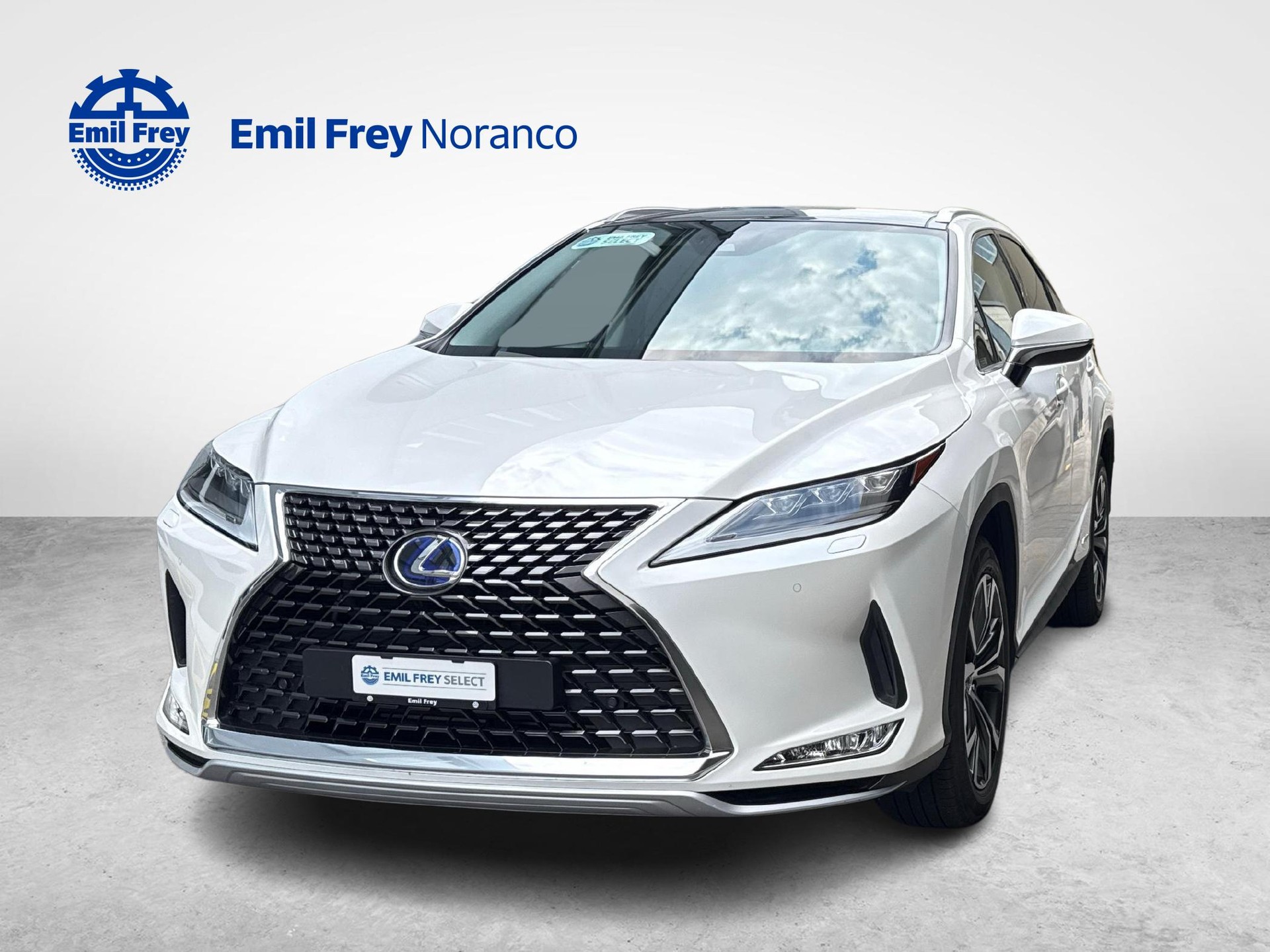 LEXUS RX 450h X + Ruote invernali incluse-image-0