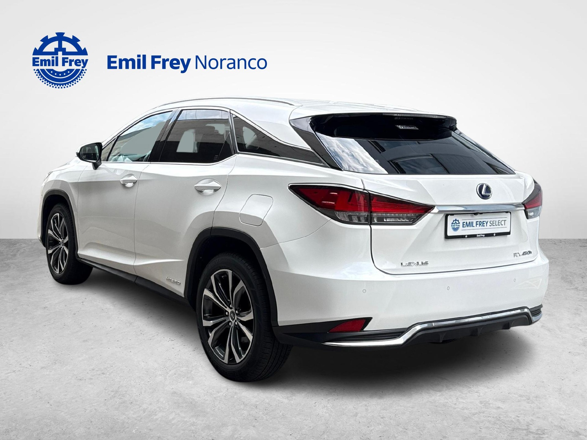 LEXUS RX 450h X + Ruote invernali incluse-image-2