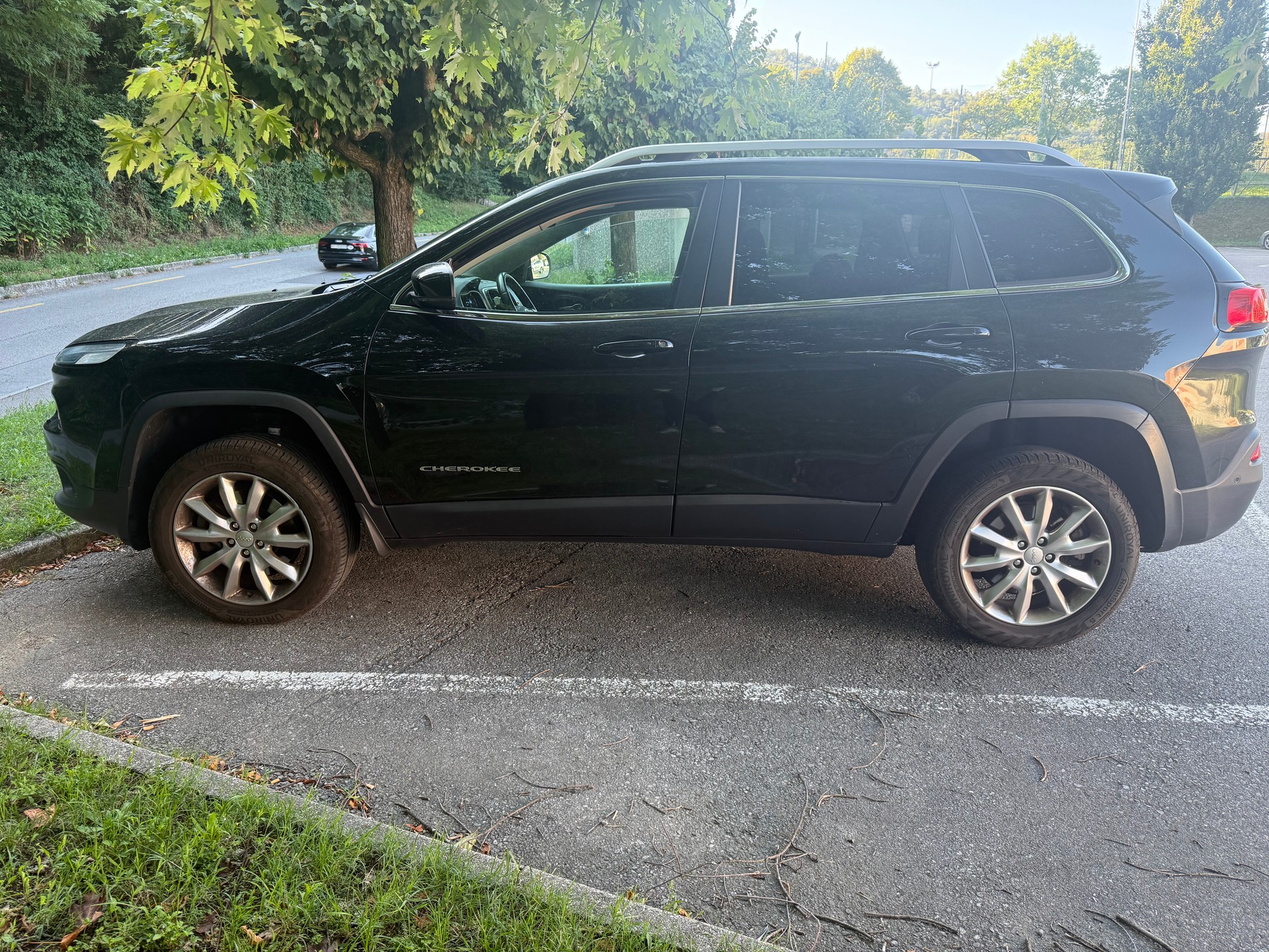 JEEP 2.0 CRD 170 Limited 2 AWD-image-1