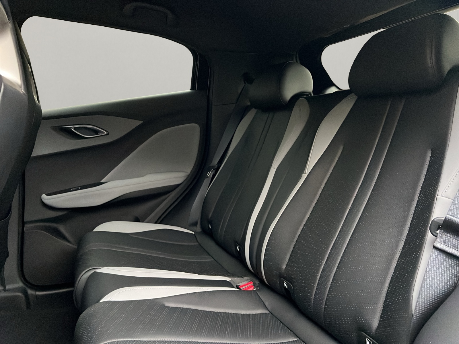 BYD Dolphin Surf Comfort-image-9