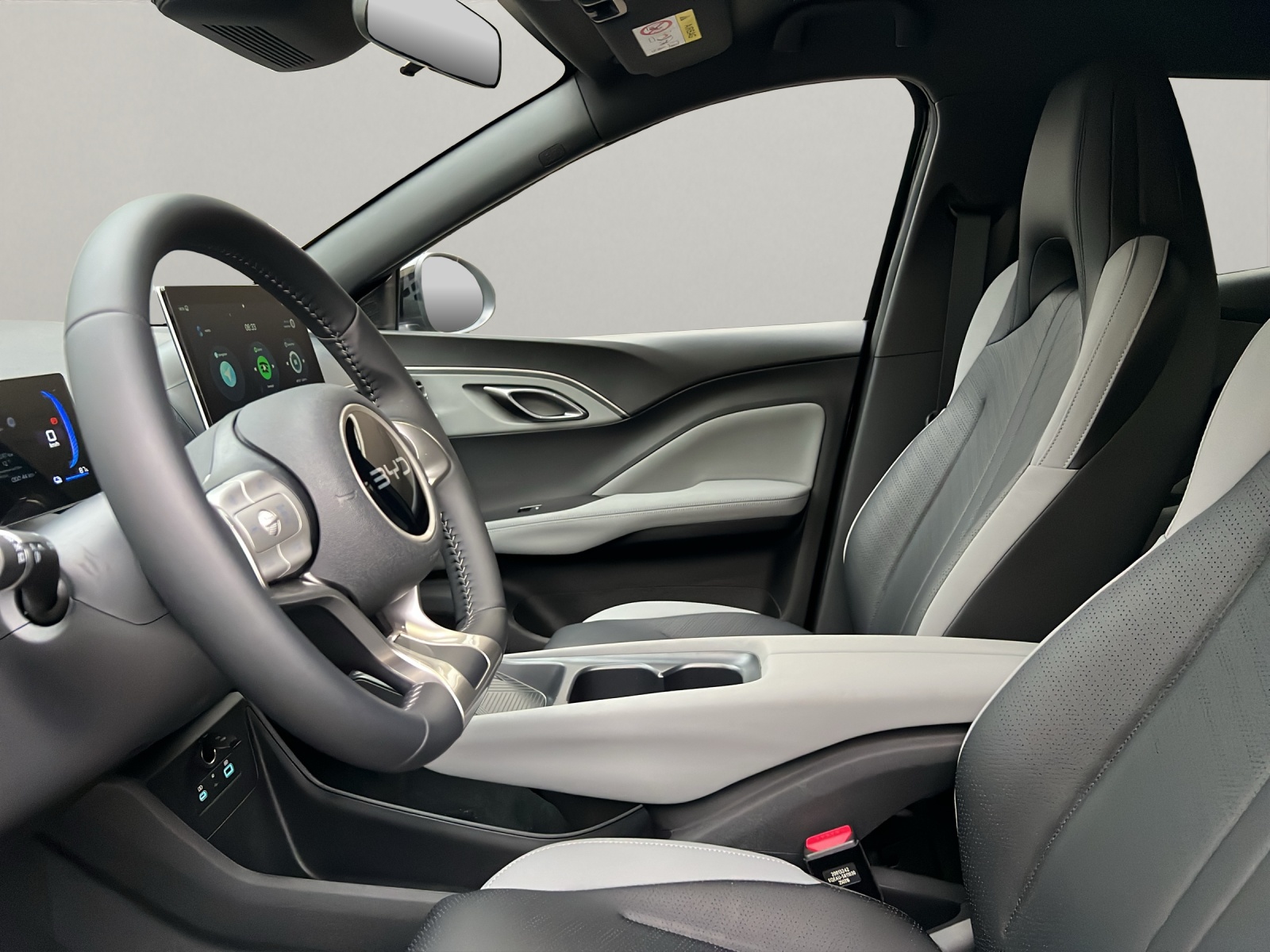BYD Dolphin Surf Comfort-image-6