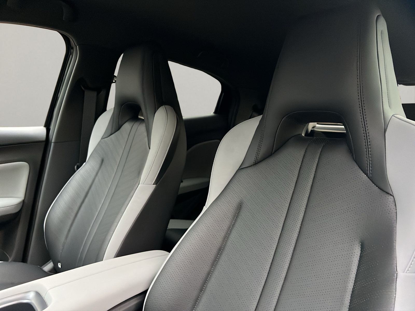 BYD Dolphin Surf Comfort-image-8