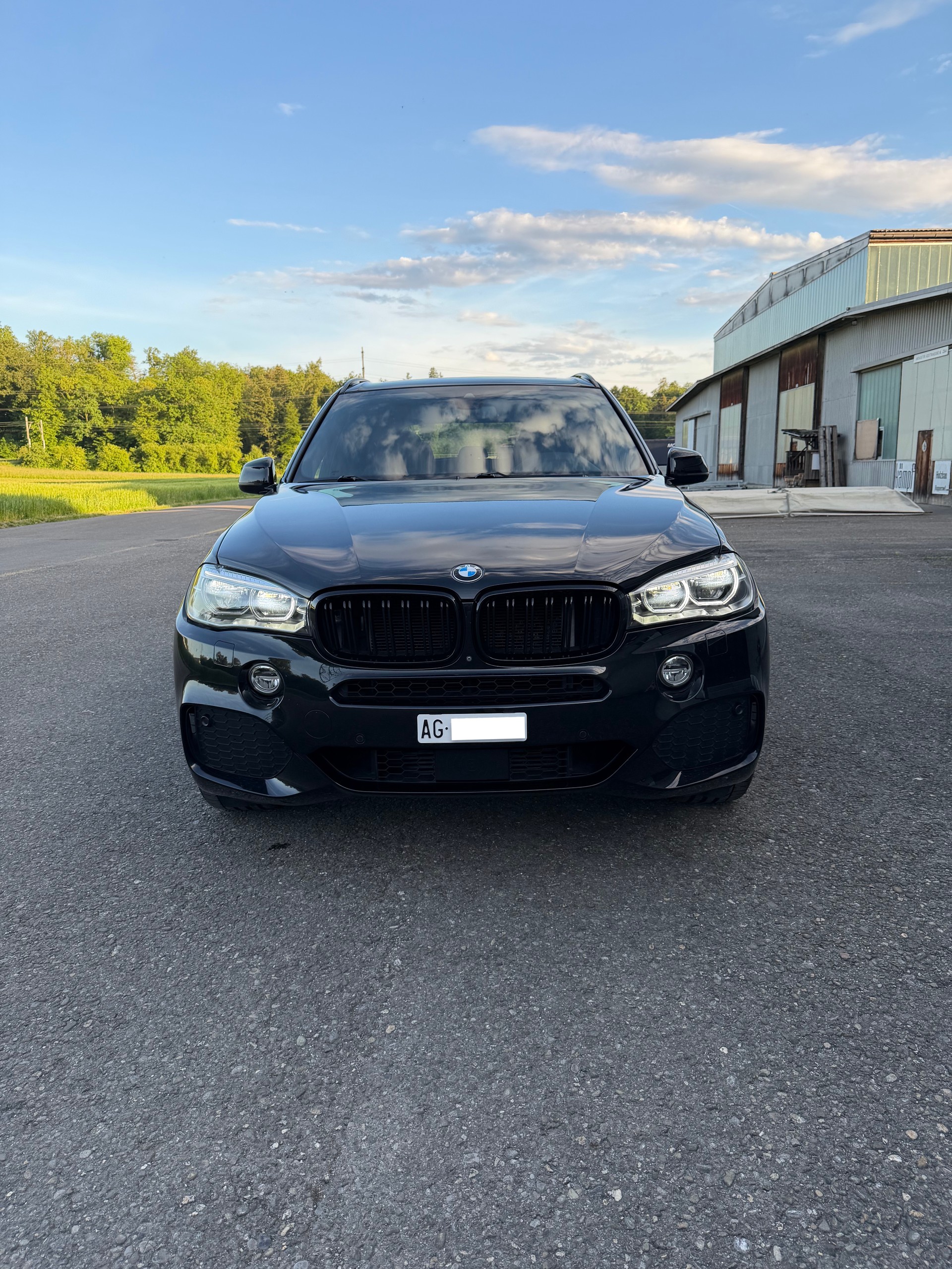 BMW X5 xDrive 40d Steptronic M-Sport SAG-image-6