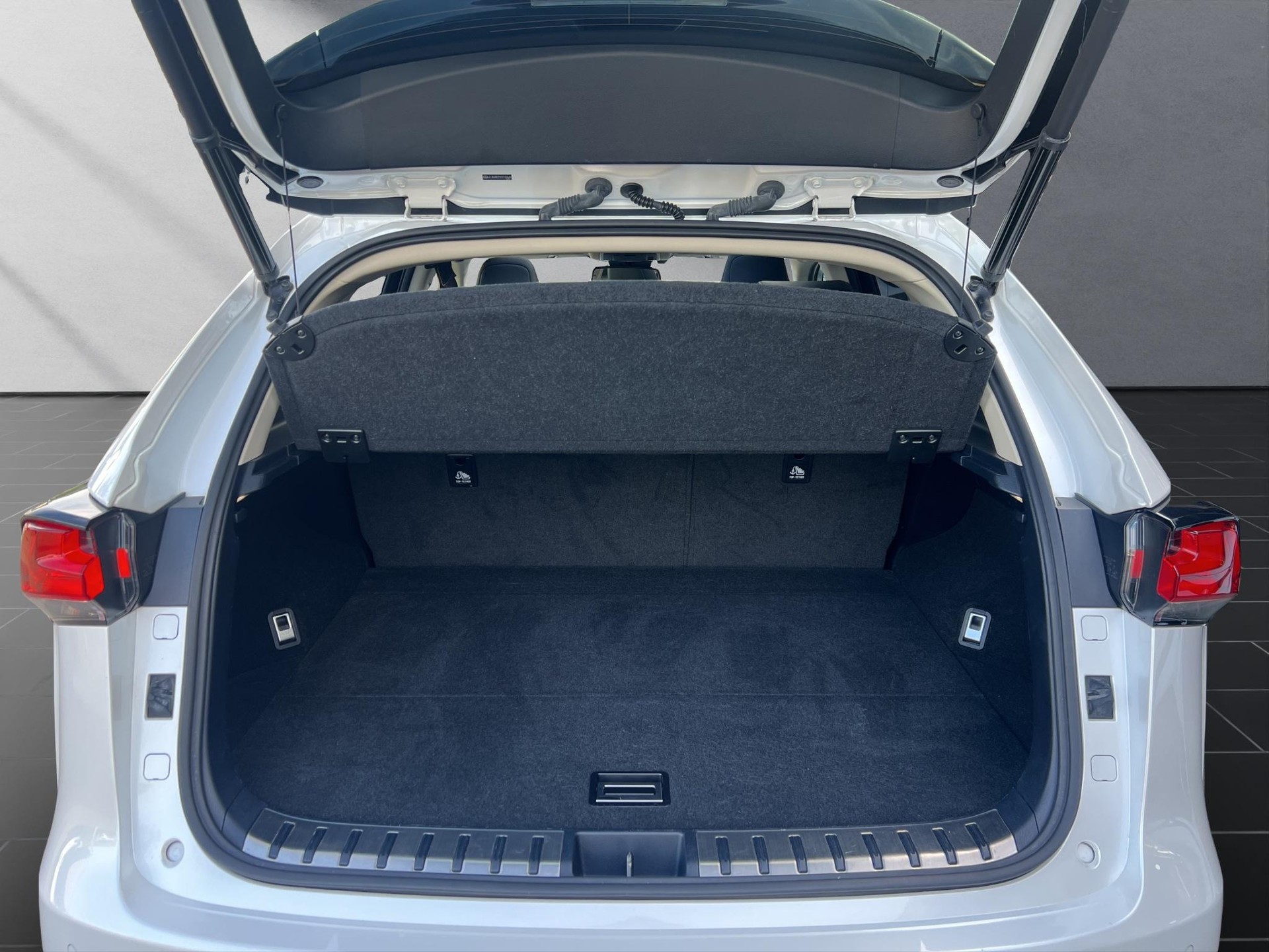 LEXUS NX 300h-image-10