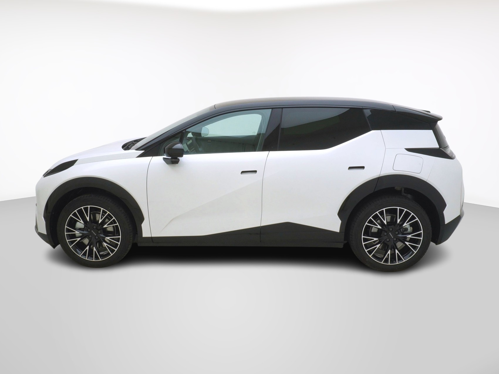 ZEEKR X Privilege AWD-image-1