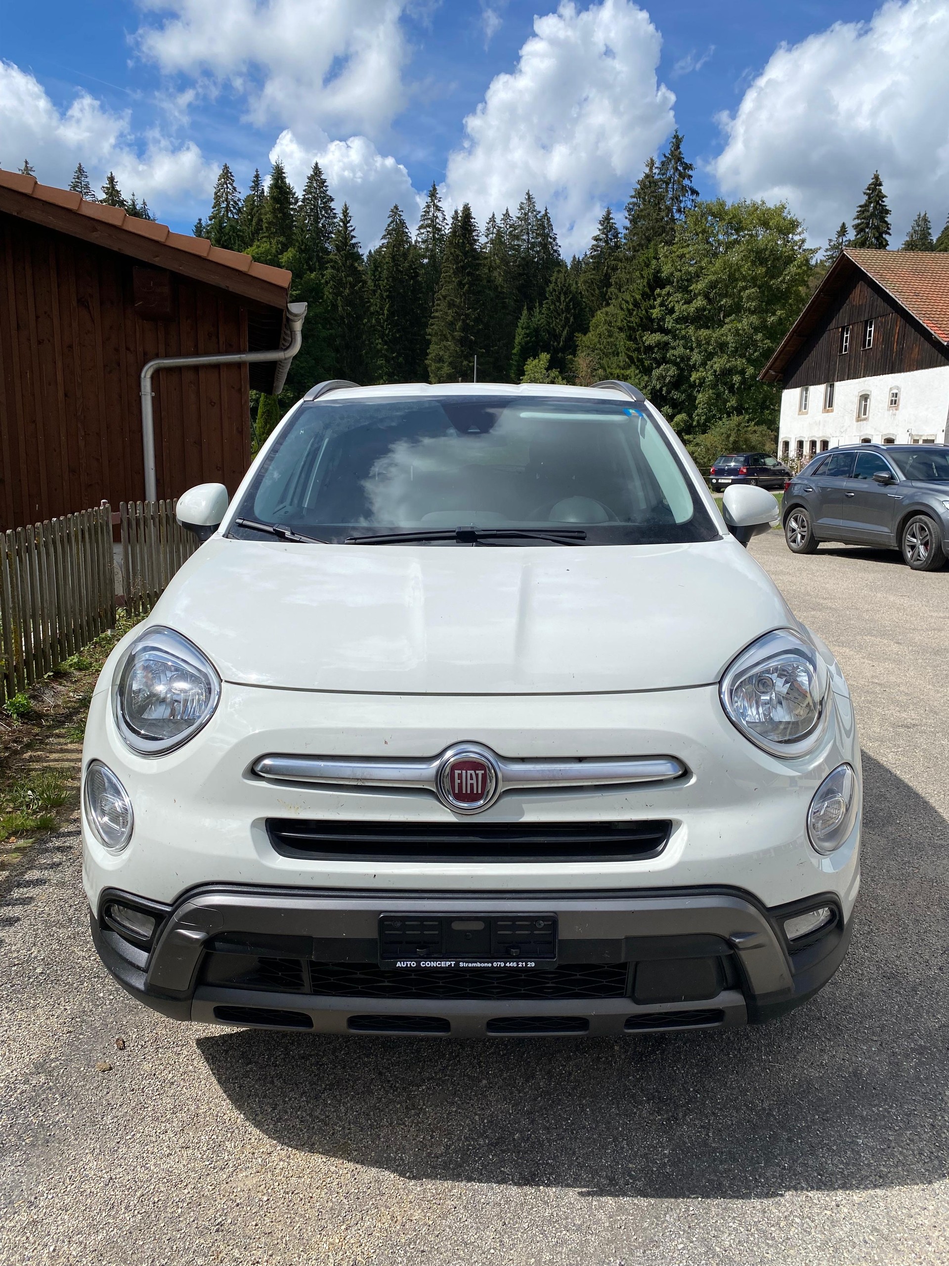 FIAT 2.0 JTD Cross Plus 4x4-image-0