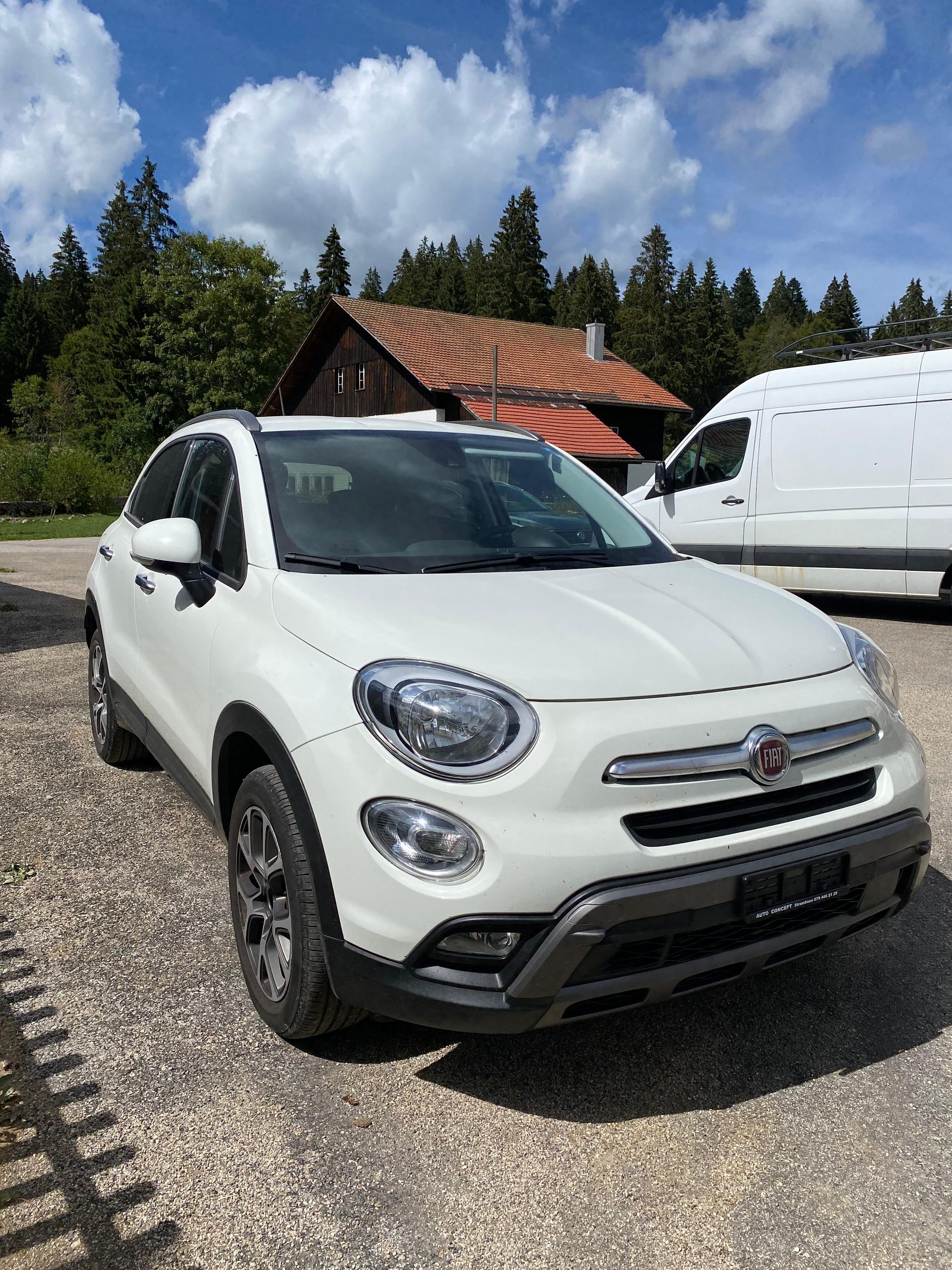 FIAT 2.0 JTD Cross Plus 4x4-image-1