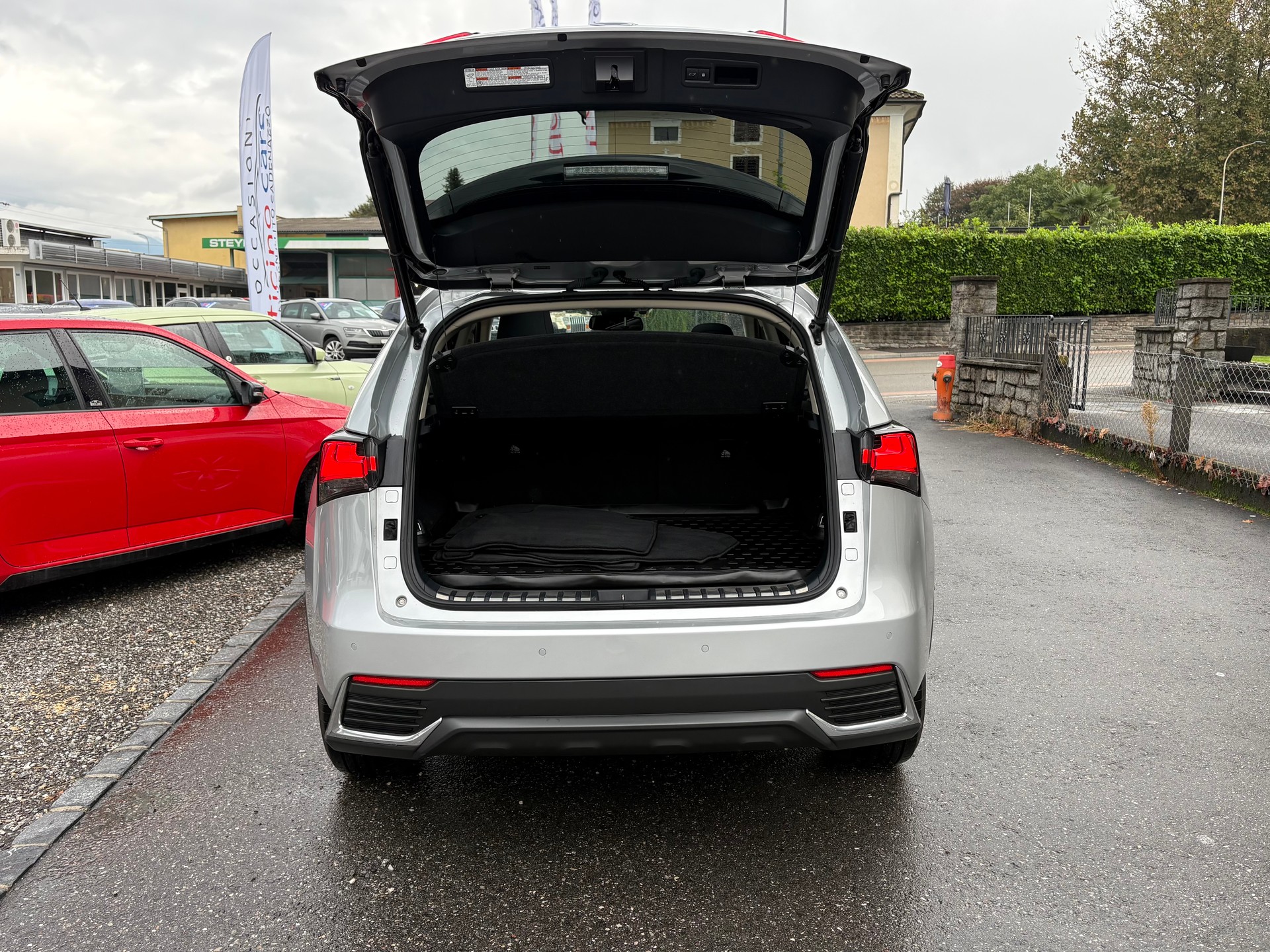 LEXUS NX 300h Comfort E-Four Automatic-image-15