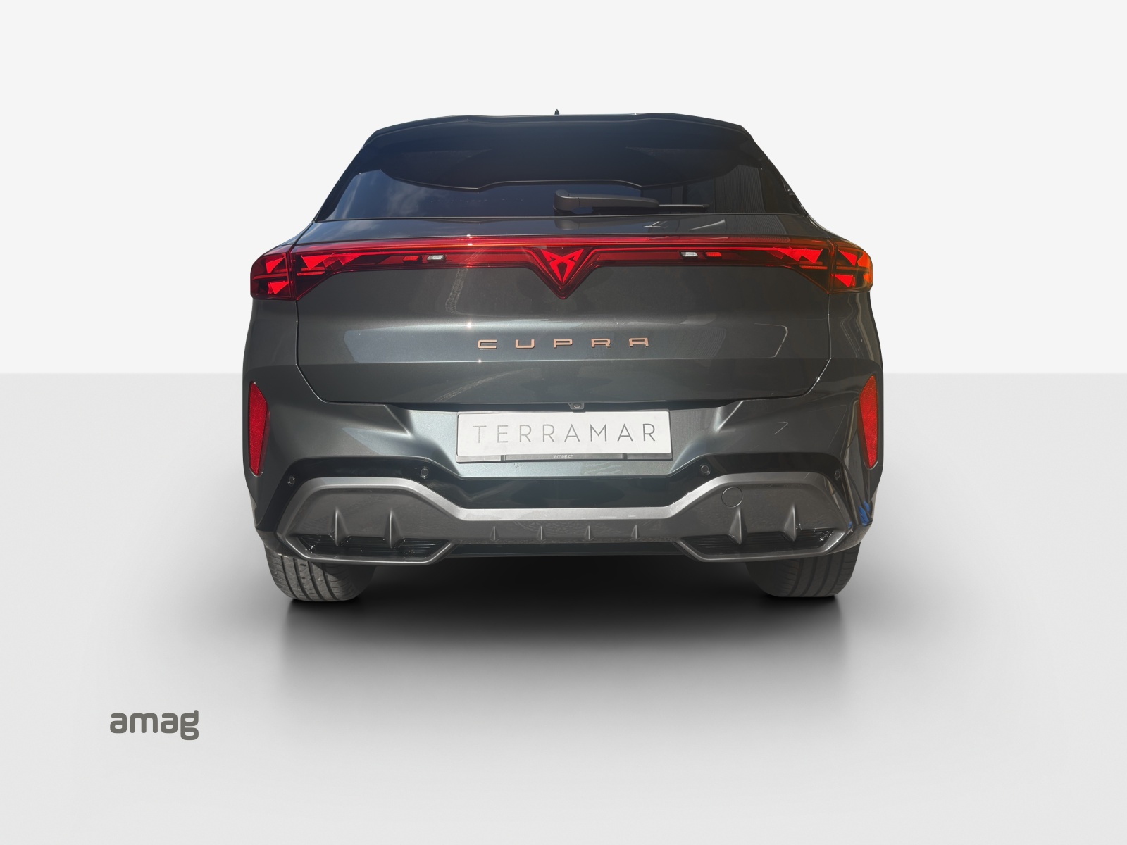CUPRA Terramar 2.0 TSI DSG 4Drive VZ-image-3