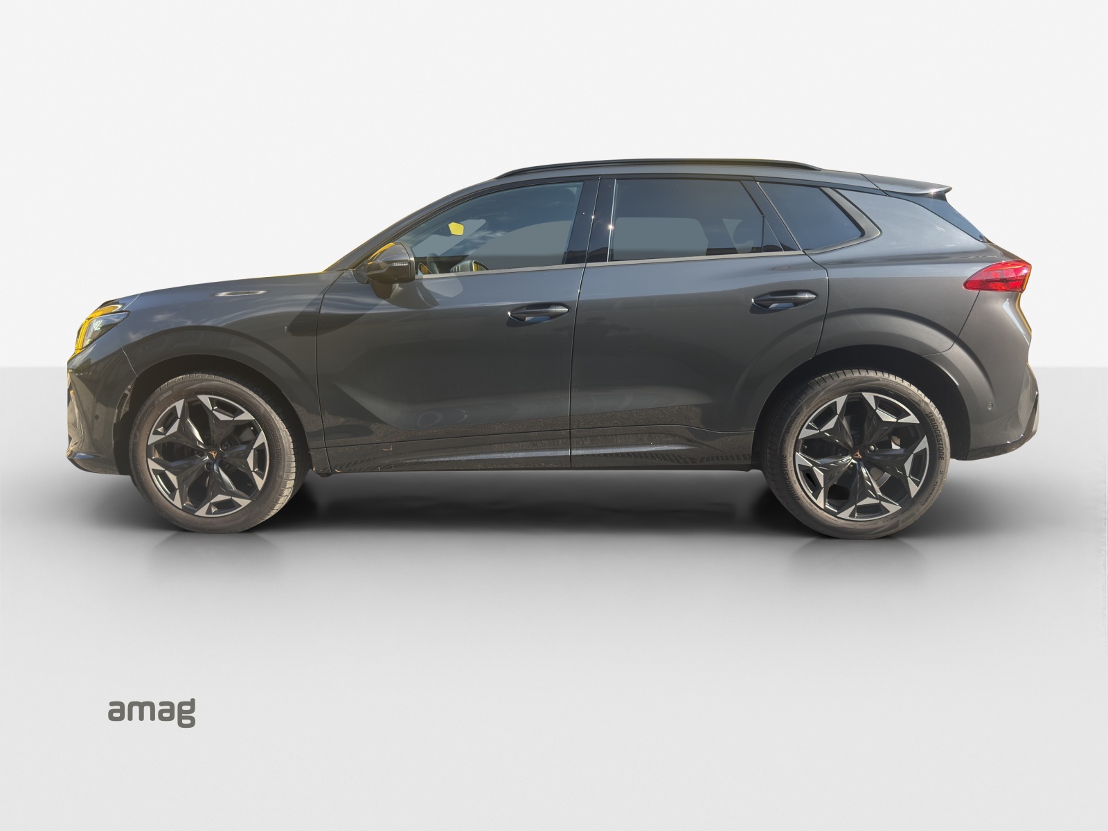 CUPRA Terramar 2.0 TSI DSG 4Drive VZ-image-1