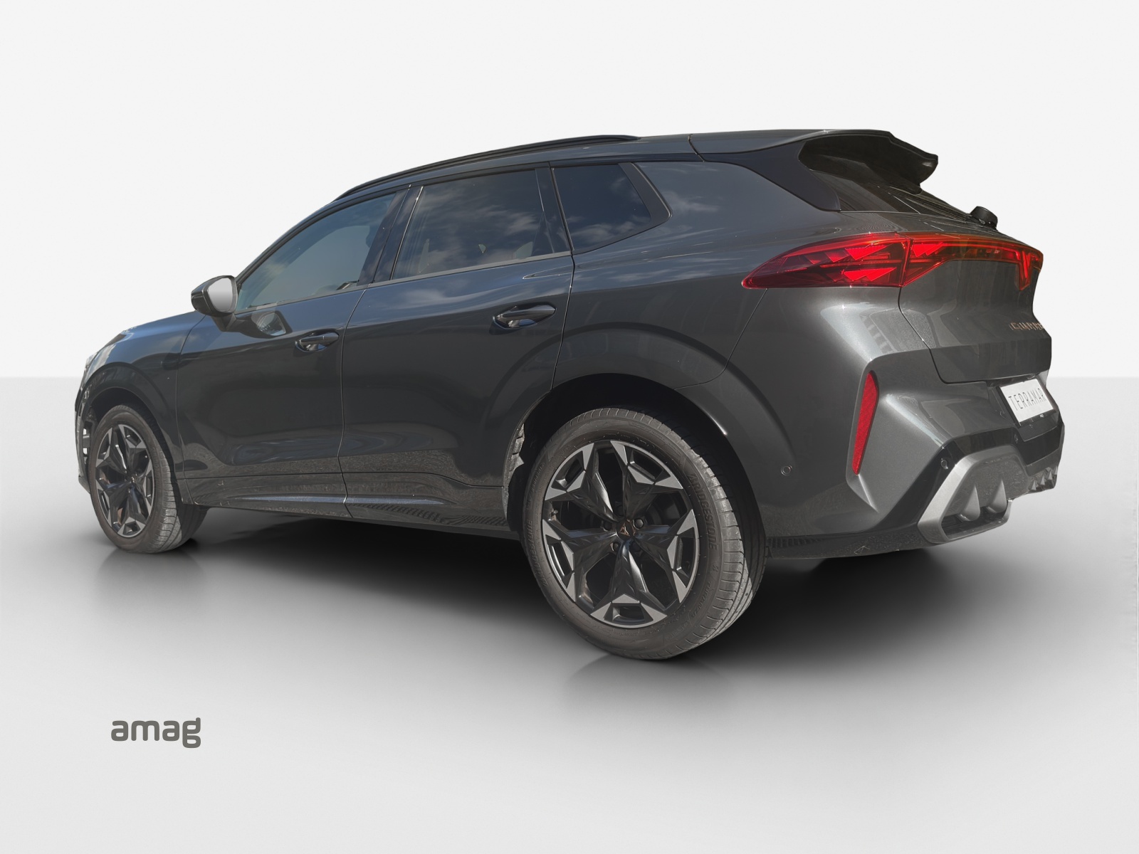 CUPRA Terramar 2.0 TSI DSG 4Drive VZ-image-2