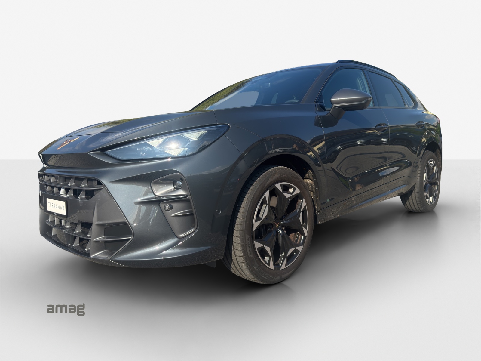 CUPRA Terramar 2.0 TSI DSG 4Drive VZ-image-0