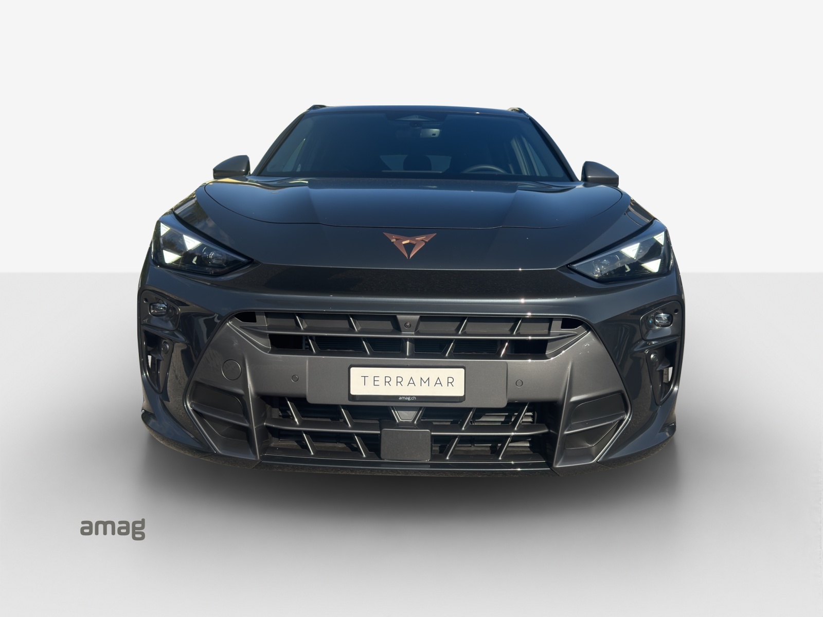 CUPRA Terramar 2.0 TSI DSG 4Drive VZ-image-6