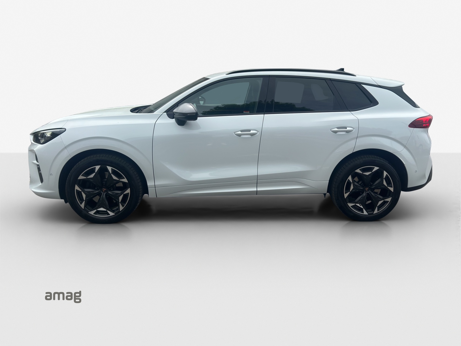 CUPRA Terramar 2.0 TSI DSG 4Drive VZ-image-1