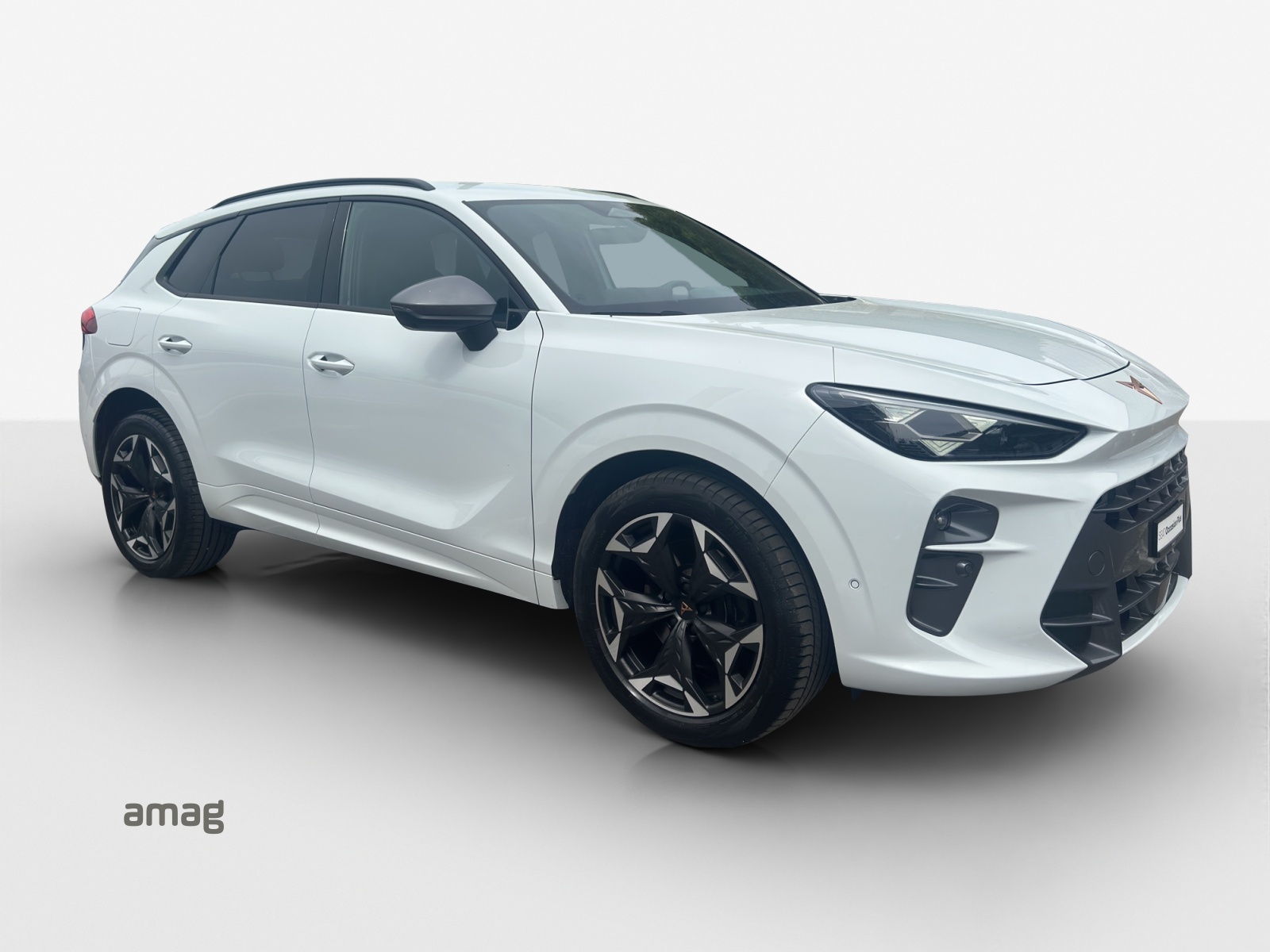 CUPRA Terramar 2.0 TSI DSG 4Drive VZ-image-5