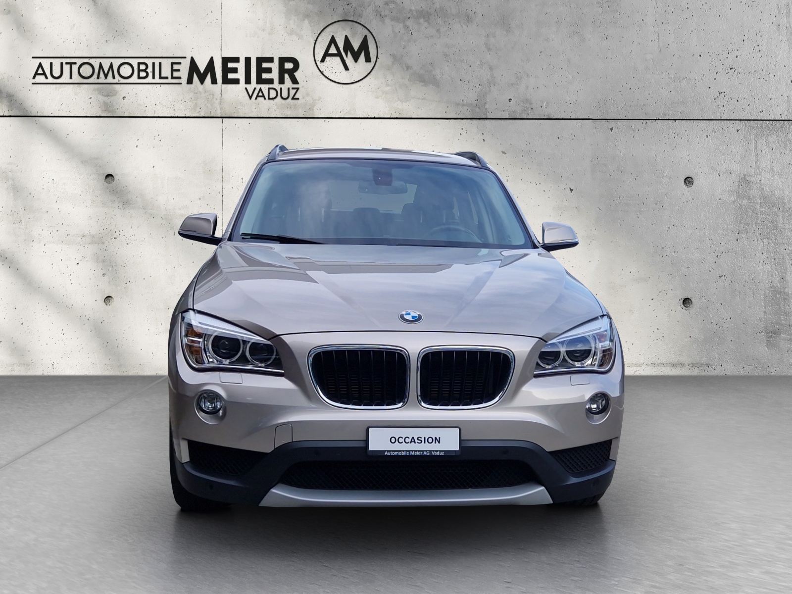 BMW X1 E84 20d xDrive-image-2