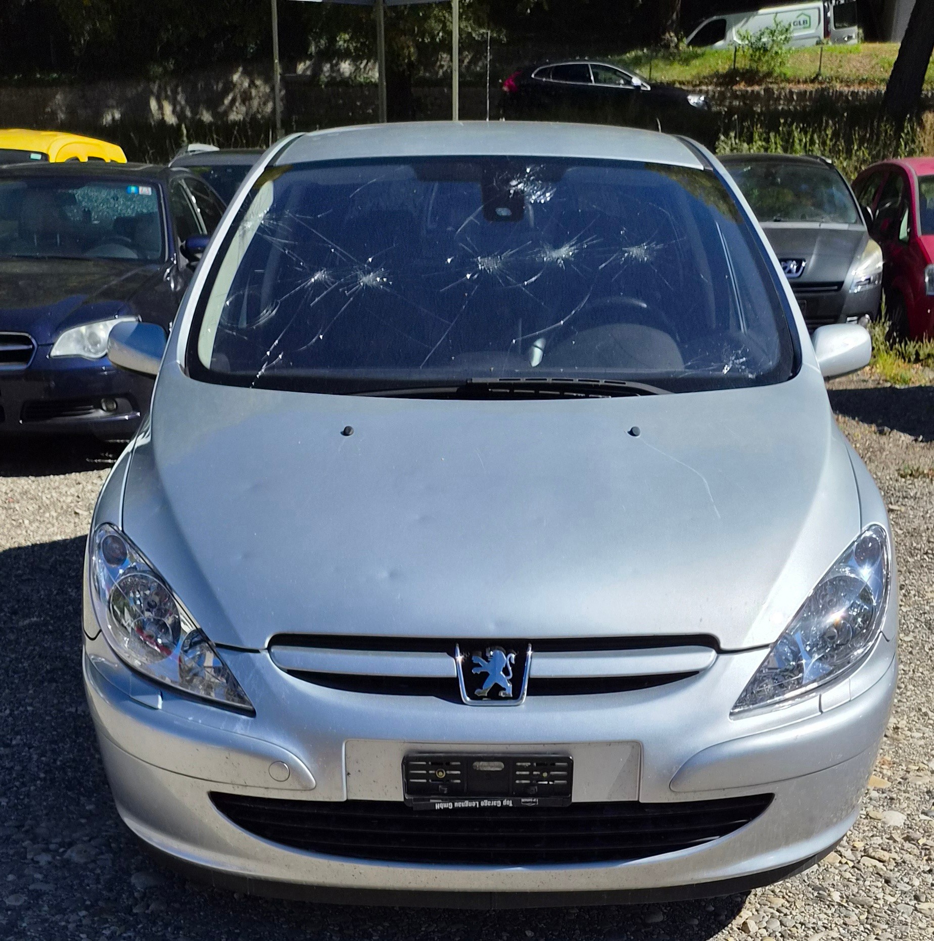 PEUGEOT 307 2.0 16V Platinum Edition — slika 1