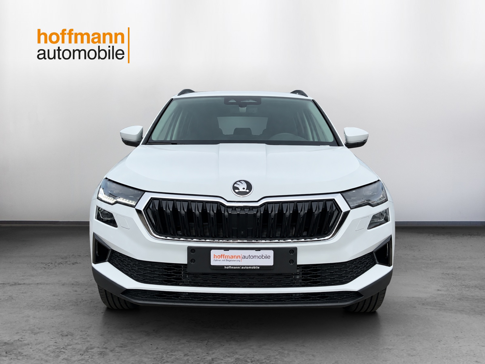 SKODA Karoq 2.0 TDI CR Dynamic 4x4 DSG-showroom-element-1