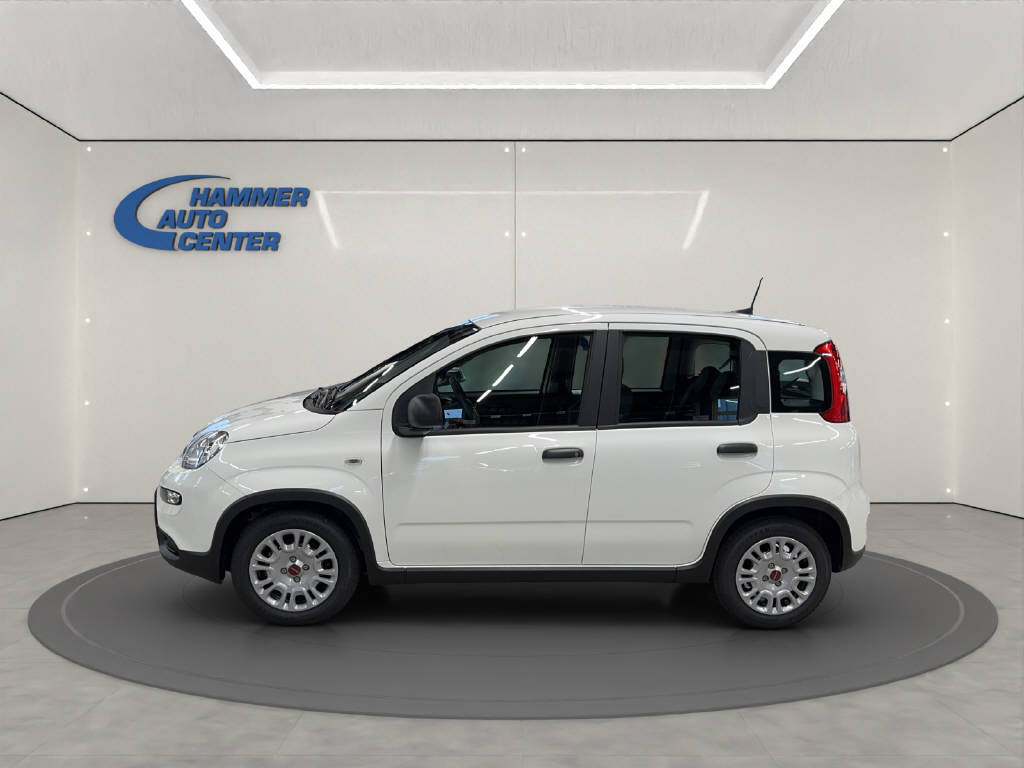 FIAT Panda 1.0 Hybrid Cult-image-4