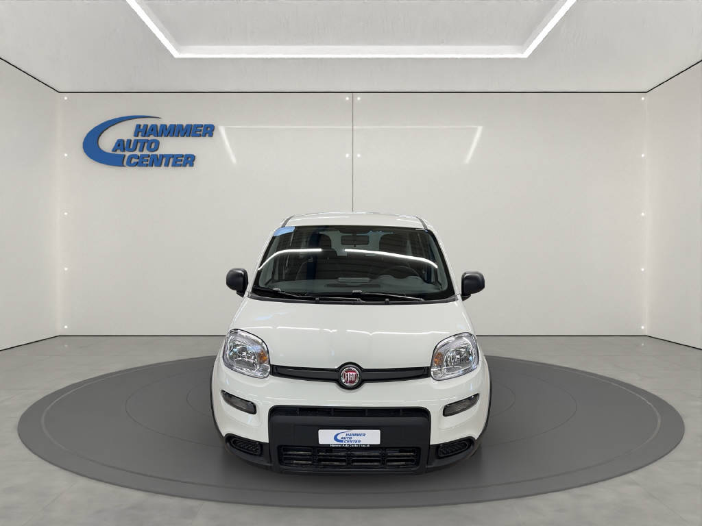 FIAT Panda 1.0 Hybrid Cult-image-1