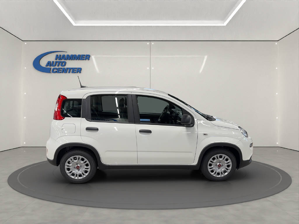 FIAT Panda 1.0 Hybrid Cult-image-3