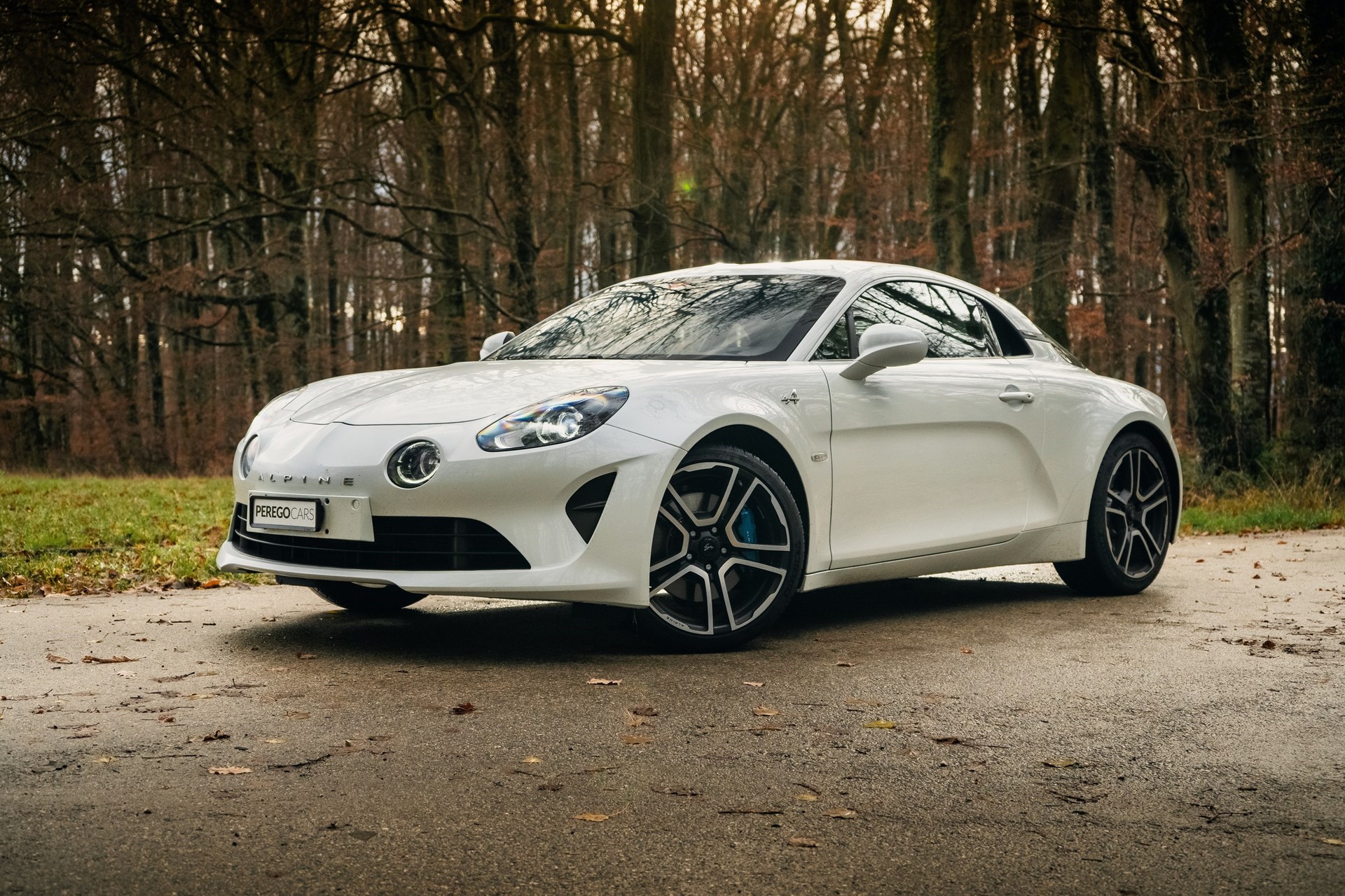 ALPINE Alpine A110 Premiére Edition-image-0