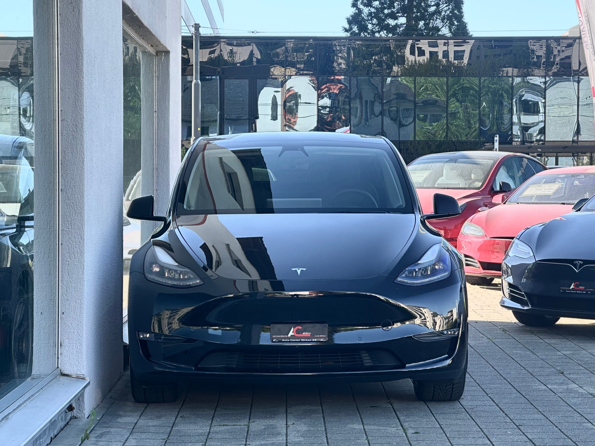 TESLA Model Y Long Range-showroom-element-3
