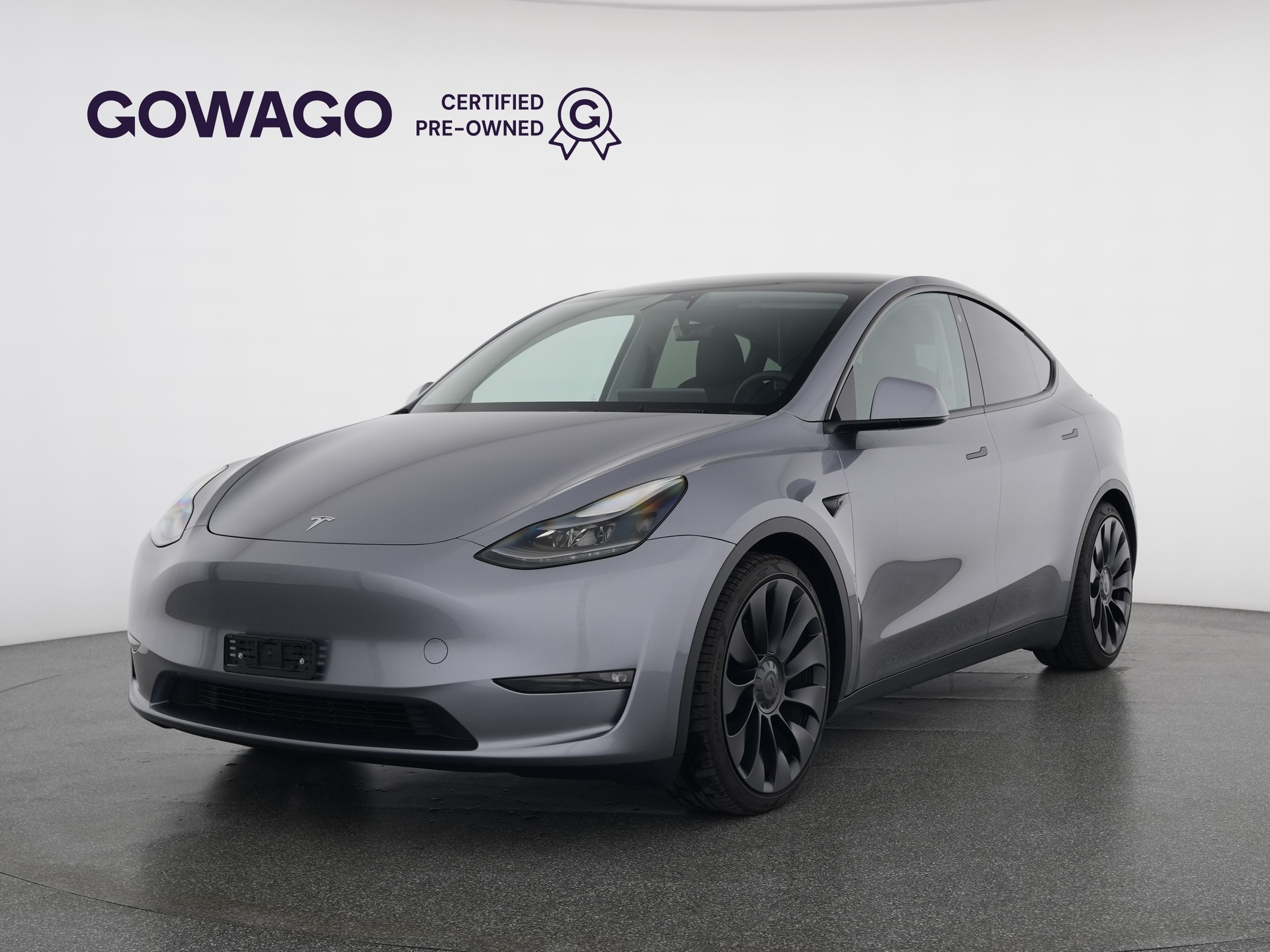 TESLA Model Y Performance