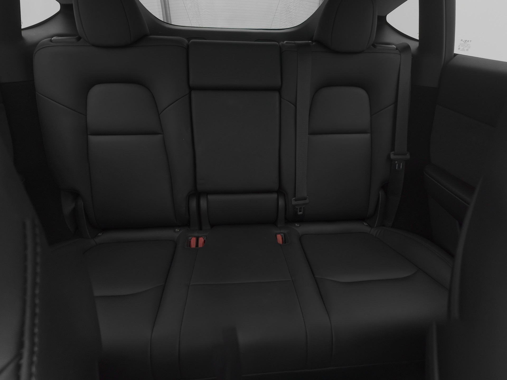 TESLA Model Y Performance-image-10