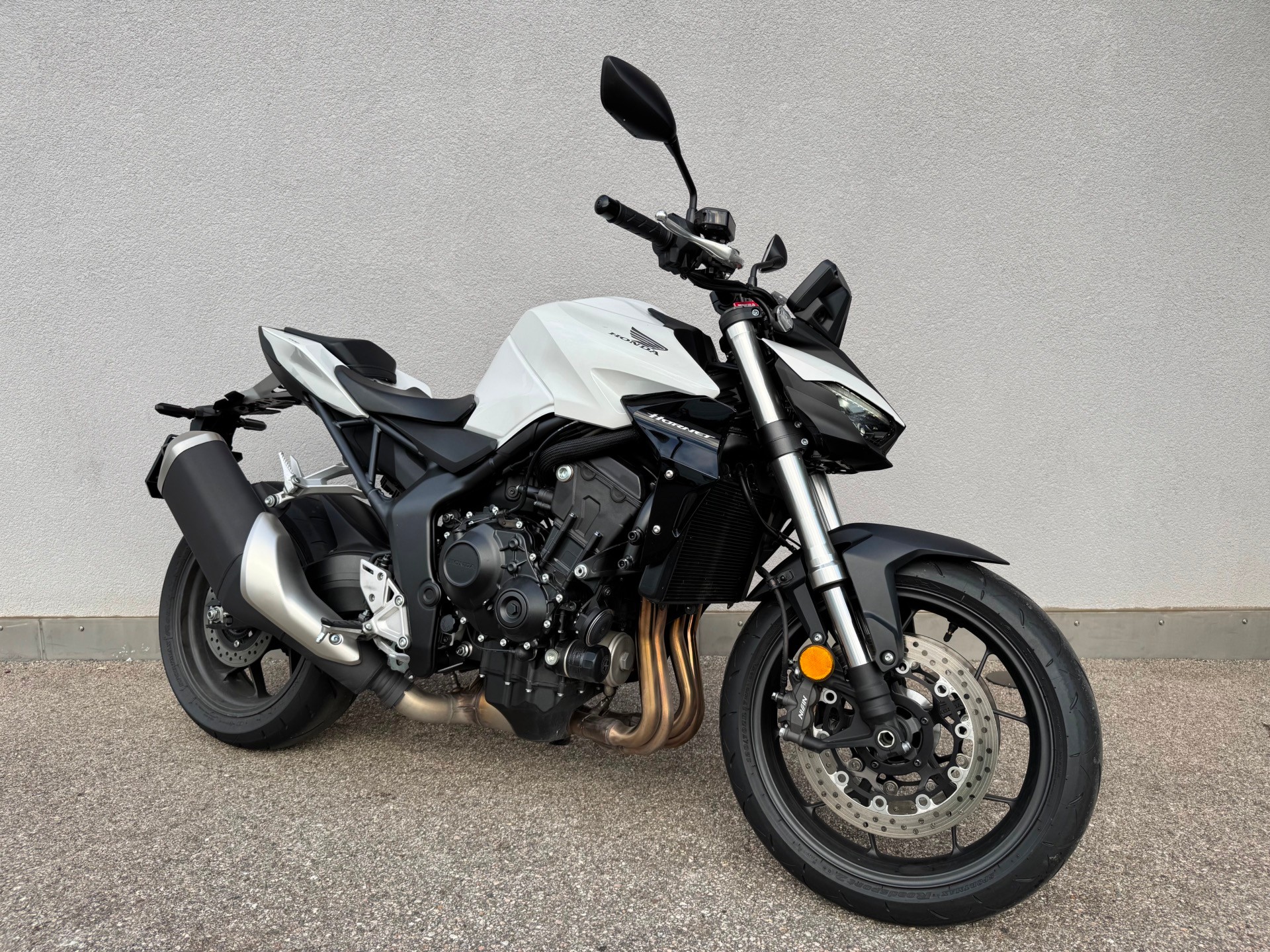 HONDA Hornet