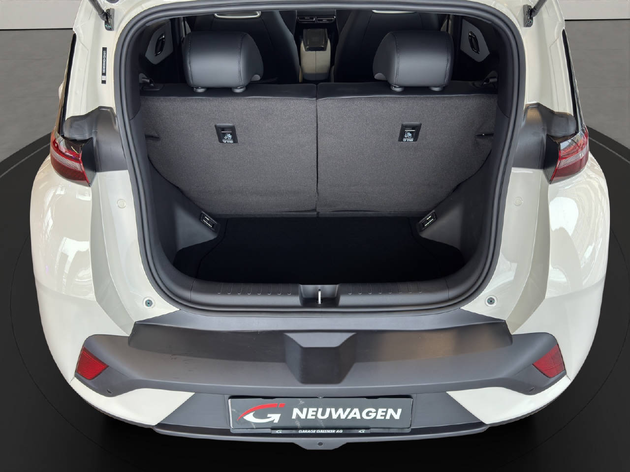BYD Dolphin Surf Comfort-image-13
