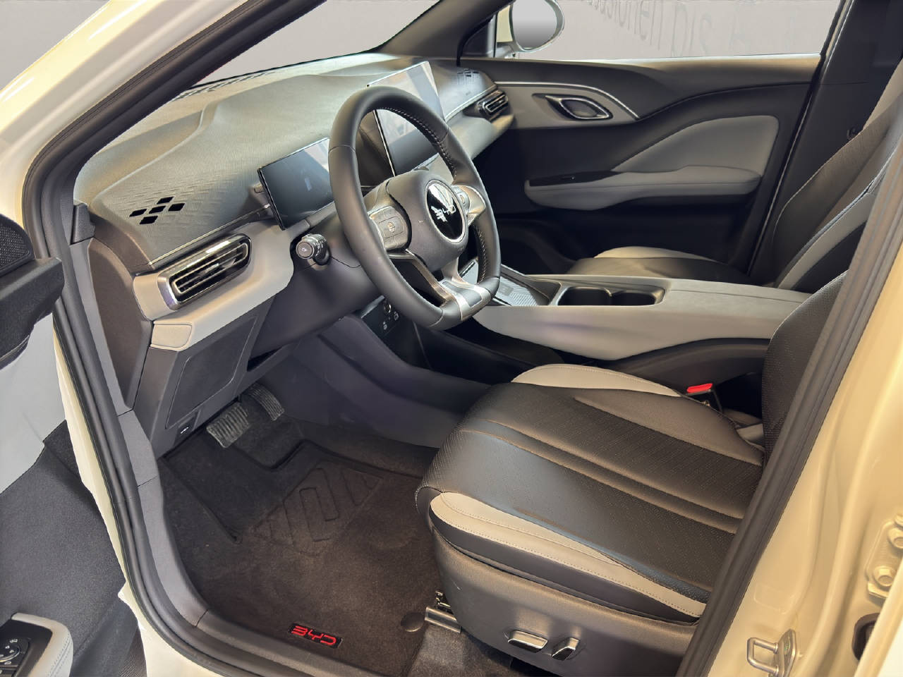 BYD Dolphin Surf Comfort-image-3