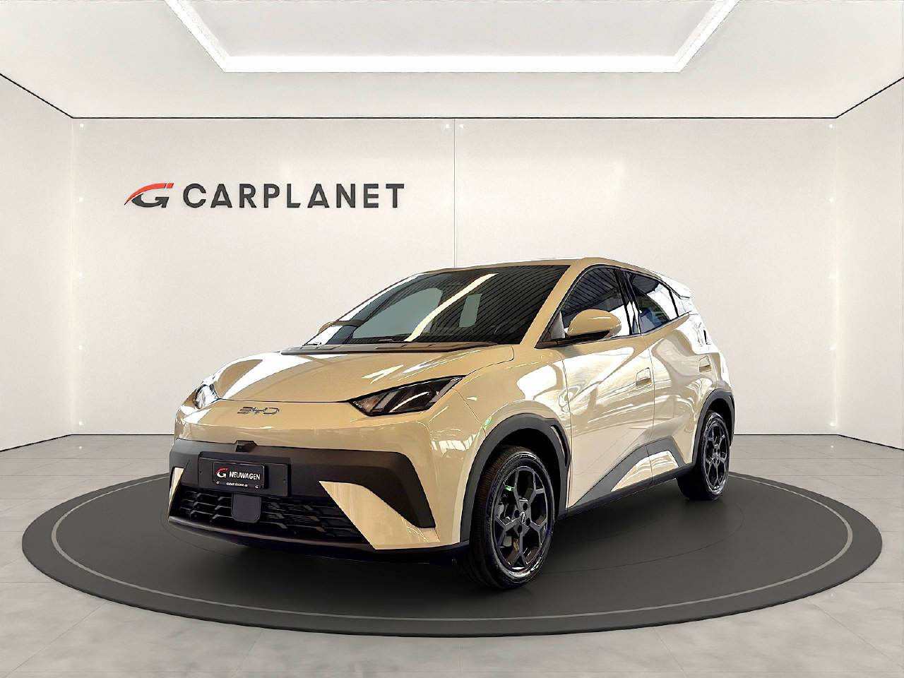 BYD Dolphin Surf Comfort-image-0