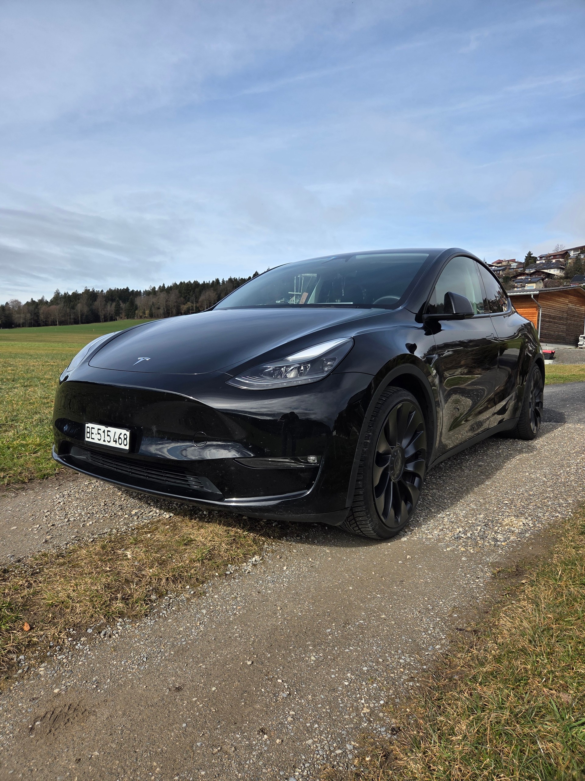 TESLA Model Y Performance-image-0