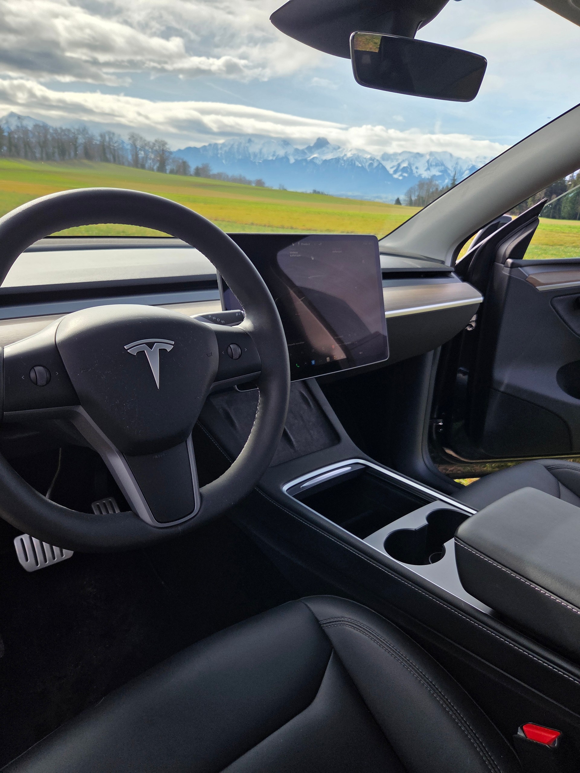 TESLA Model Y Performance-image-3