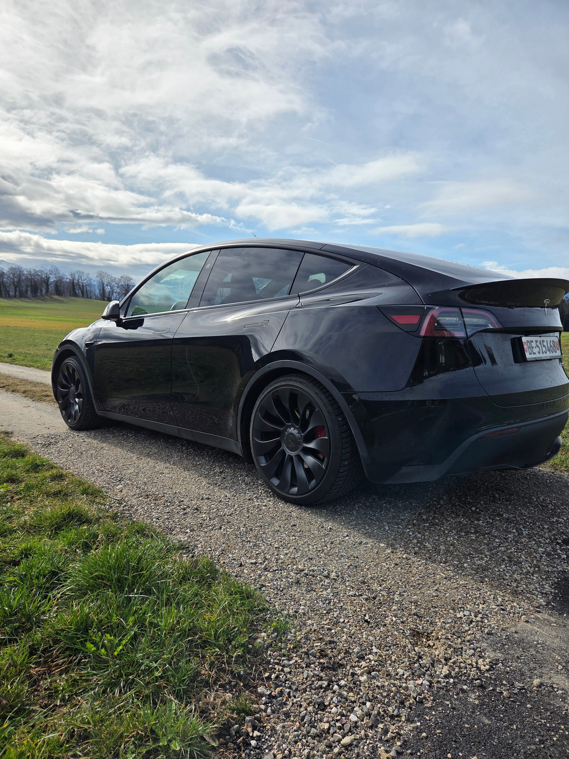 TESLA Model Y Performance-image-1
