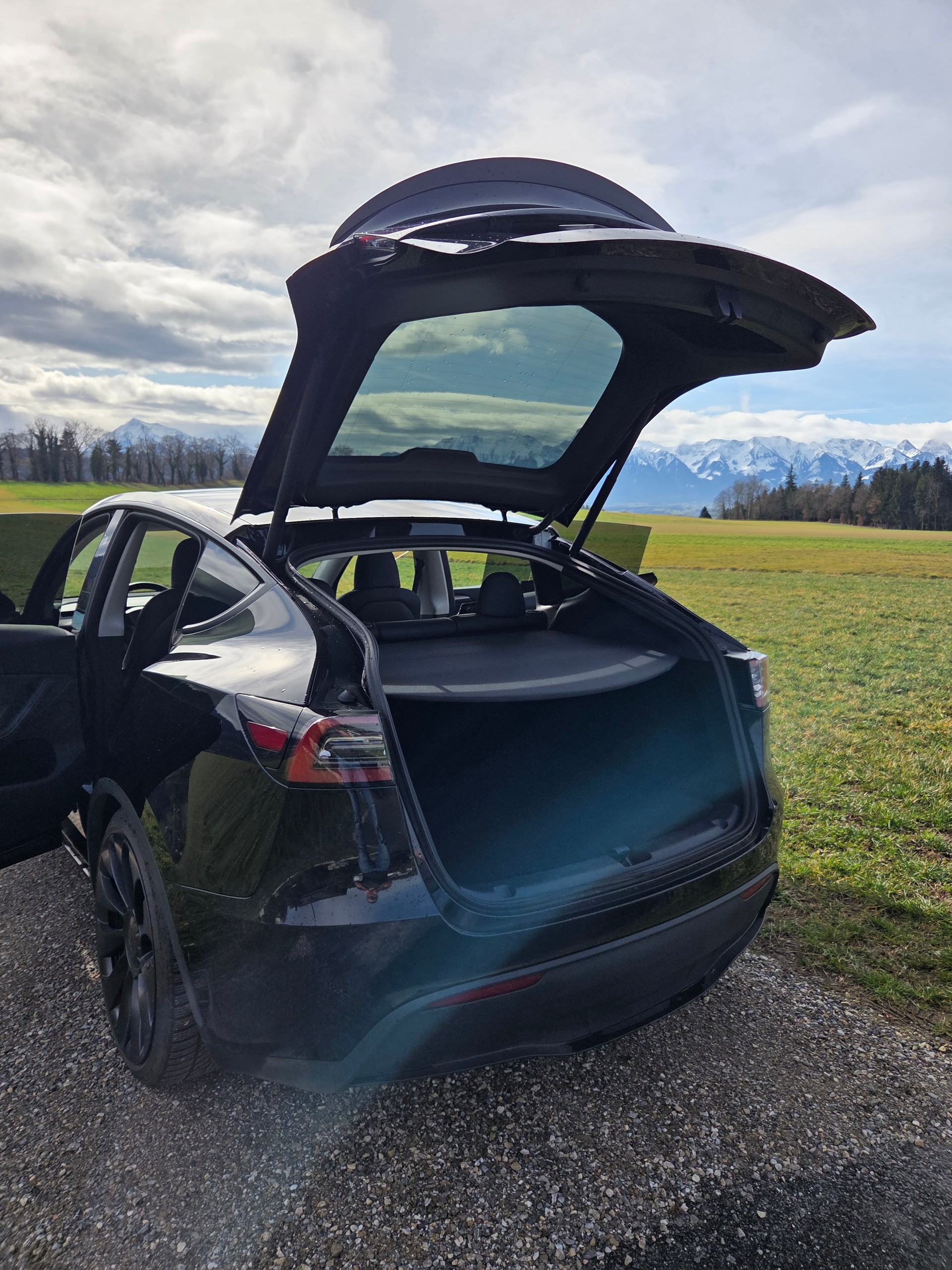 TESLA Model Y Performance-image-5