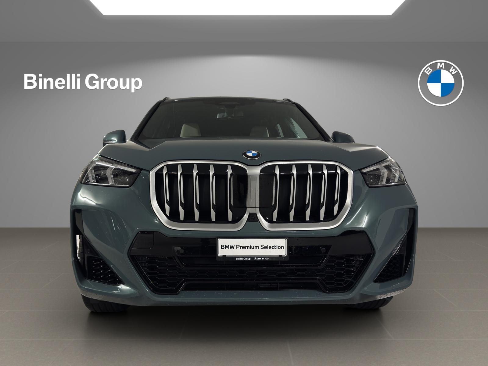 BMW X1 23i xDrive paddles-image-1