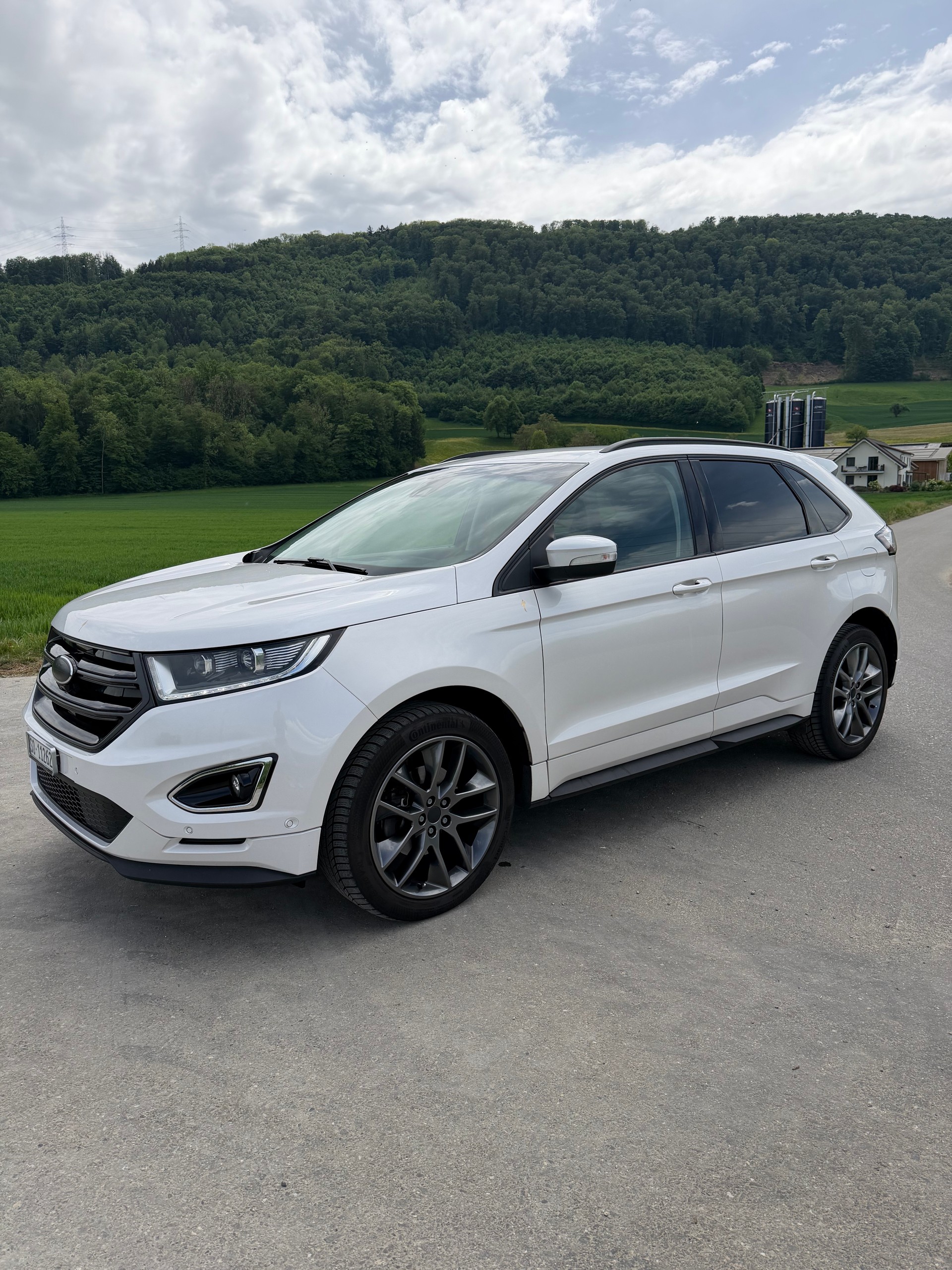 FORD 2.0 TDCi 210 Sport FPS