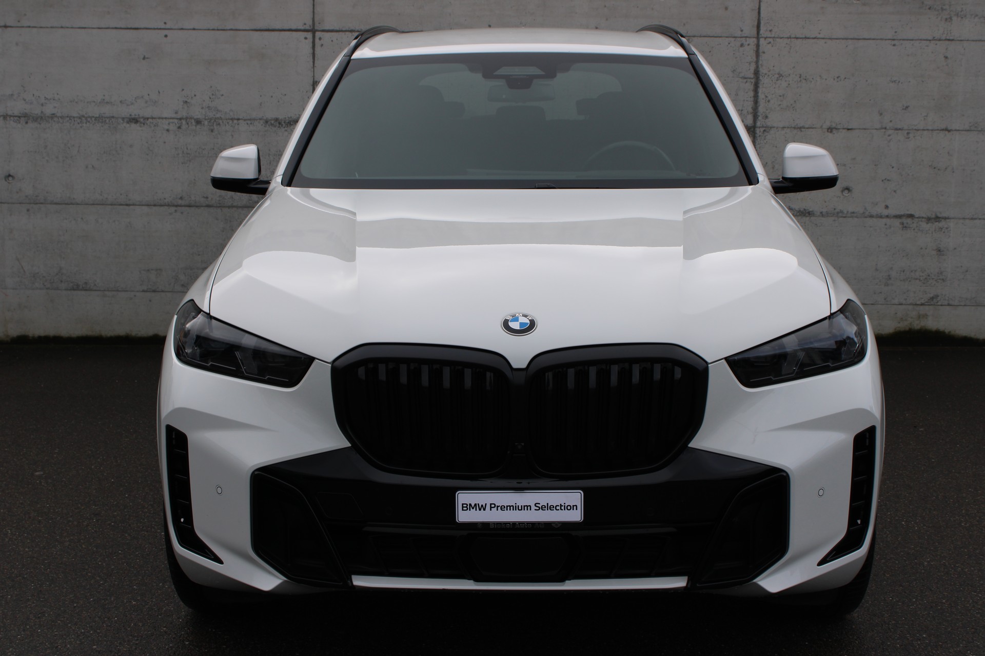 BMW X5 xD 48V 30d M Sport Pro-showroom-element-3
