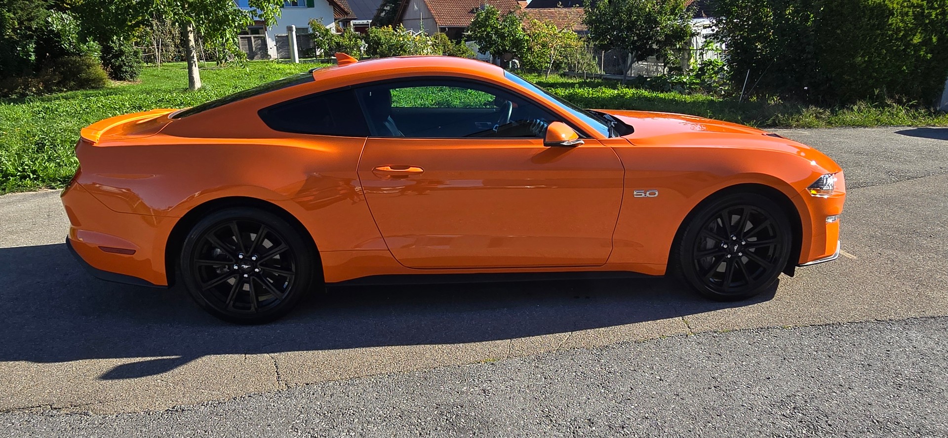 FORD Ford Mustang 5.0 GT 55 Years (US-Model)-image-3