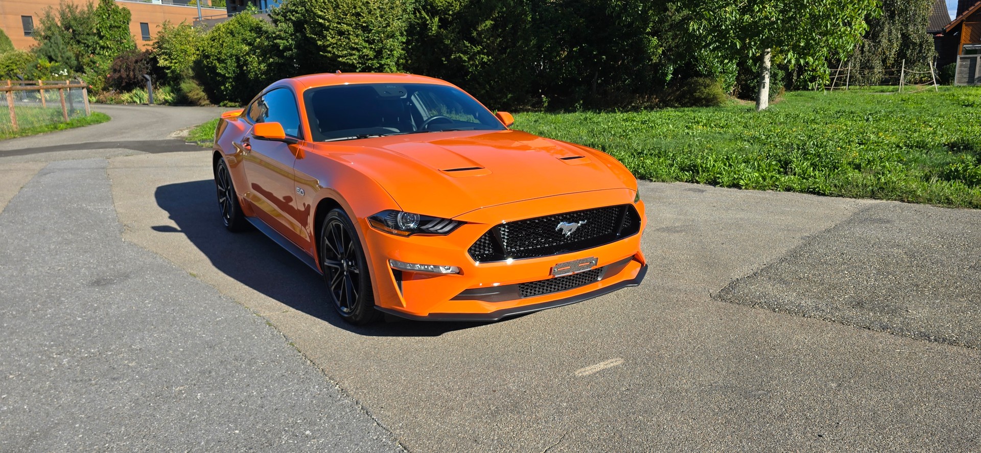 FORD Ford Mustang 5.0 GT 55 Years (US-Model)-image-0